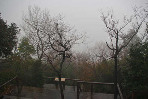 IMGP5648.jpg