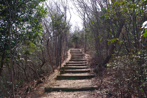 IMGP5845.jpg