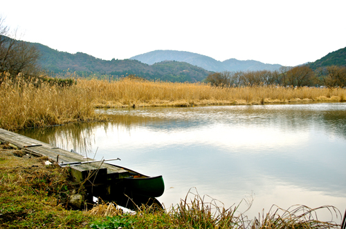 IMGP6211.jpg