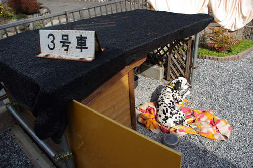 IMGP6434.jpg