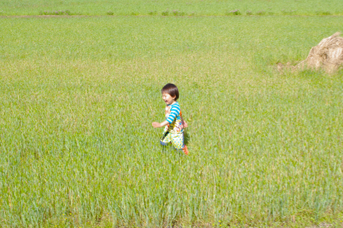IMGP6635.jpg