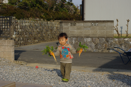 IMGP6770.jpg