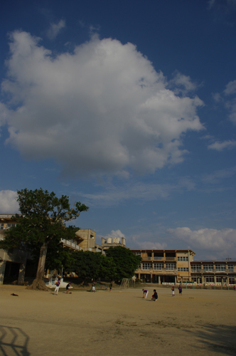 IMGP6885.jpg
