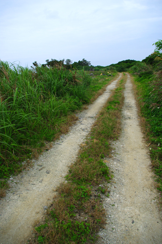 IMGP6920.jpg
