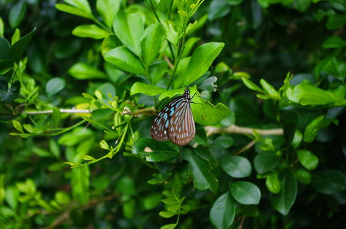 IMGP6943.jpg