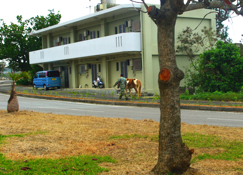 IMGP7060.jpg