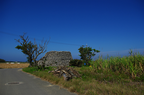 IMGP7194.jpg