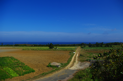 IMGP7197.jpg