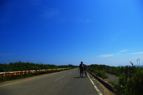 IMGP7235.jpg