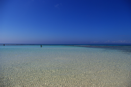 IMGP7342.jpg
