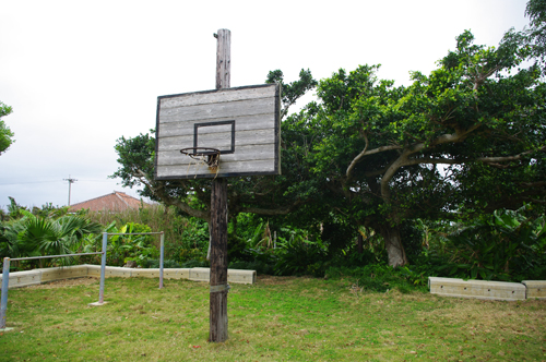 IMGP7509.jpg
