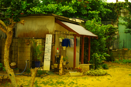 IMGP7645.jpg