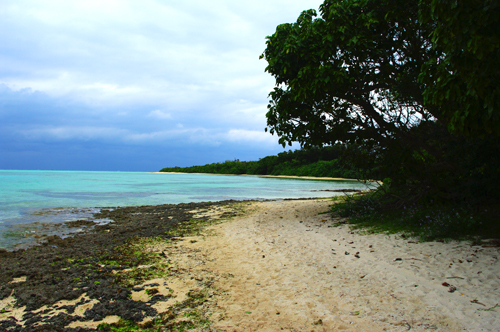 IMGP7719.jpg