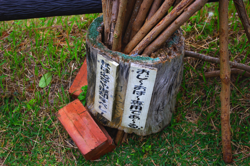 IMGP7844.jpg