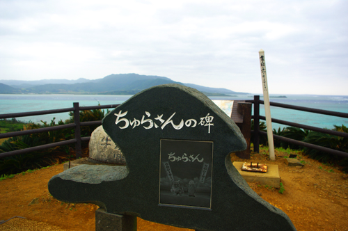 IMGP7916.jpg