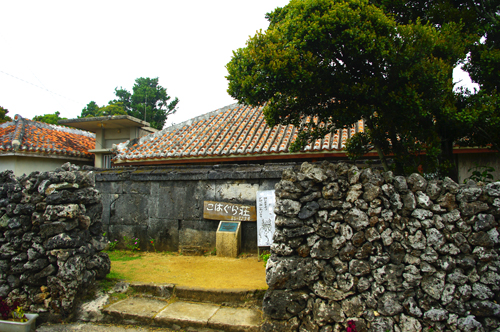 IMGP7930.jpg