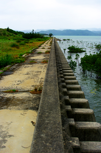 IMGP7944.jpg