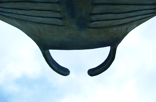 IMGP7972.jpg