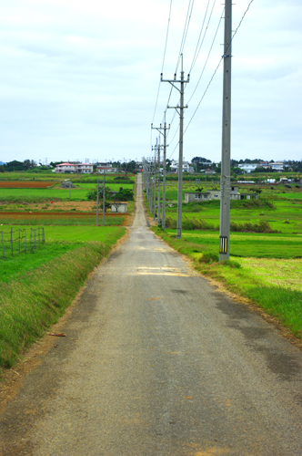 IMGP7998.jpg