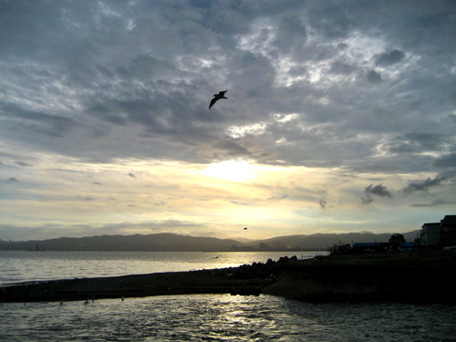 IMG_2991.jpg