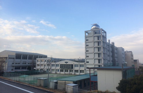 IMG_3237.jpg
