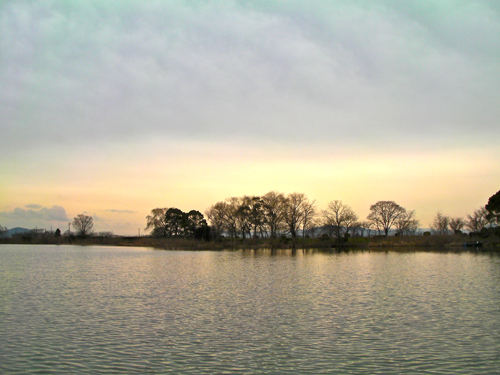 SANY0006_20120202165709.jpg