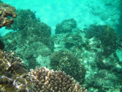 SANY0043.jpg