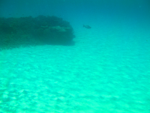 SANY0050.jpg