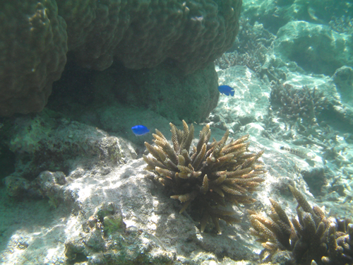 SANY0054.jpg