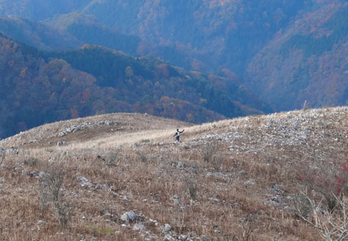 0197_original.jpg