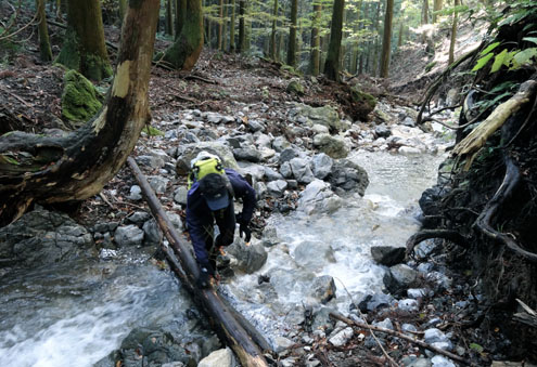0229_original_20131119170603b7b.jpg