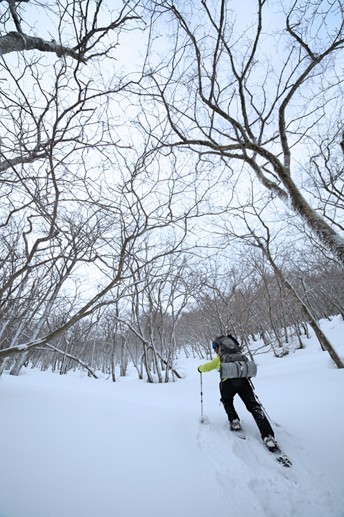 026raw_201502051547217c1.jpg