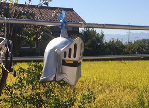 12088283_1042859735746126_179169546847755255_n.jpg