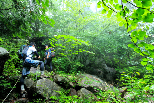 13_original_20120726111900.jpg