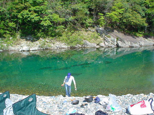 1561527_1000598945_73large.jpg
