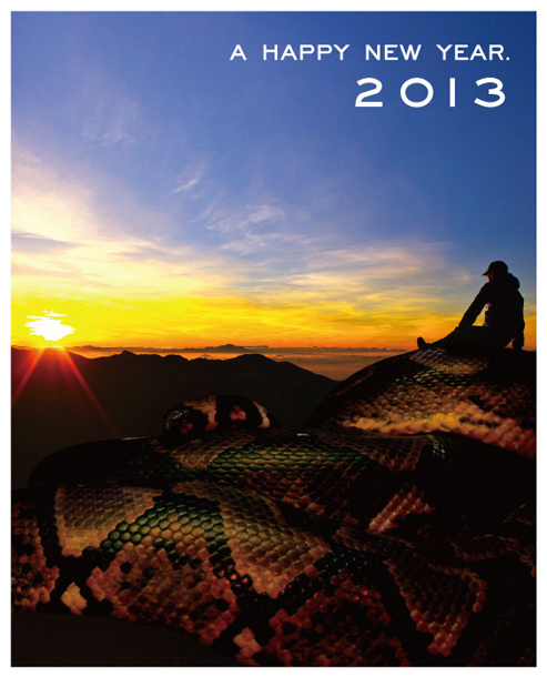 2013.jpg