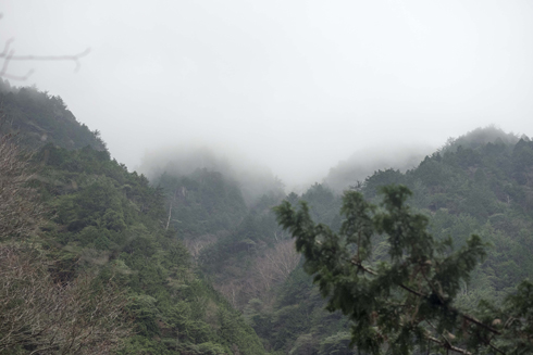 20150920-220118.jpg