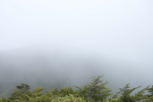 20150920-230273.jpg