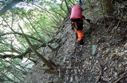 222_20150430135038ed6.jpg