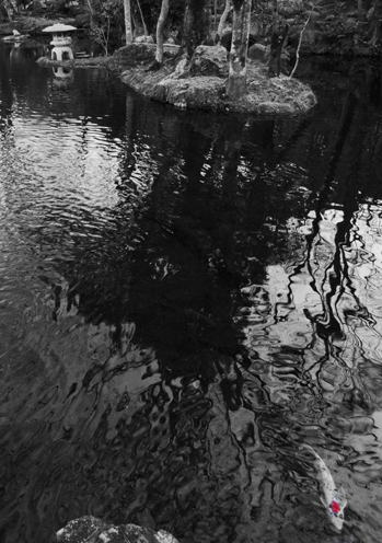2_20130318124254.jpg
