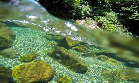 2_20150611164351014.jpg