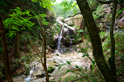 37_original_20120703110703.jpg