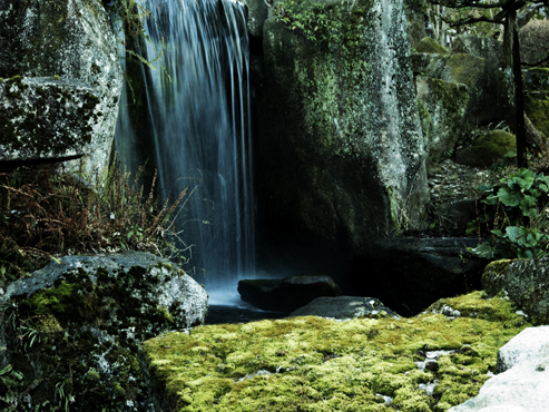 3_20130318124301.jpg