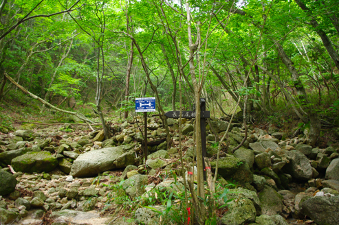 47_original_20120703110730.jpg
