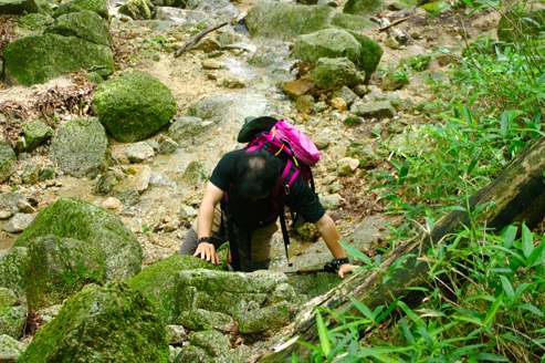 49_original_20120703110736.jpg