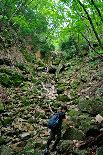 54_original_20120703110800.jpg