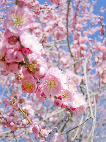 6_20130318124321.jpg