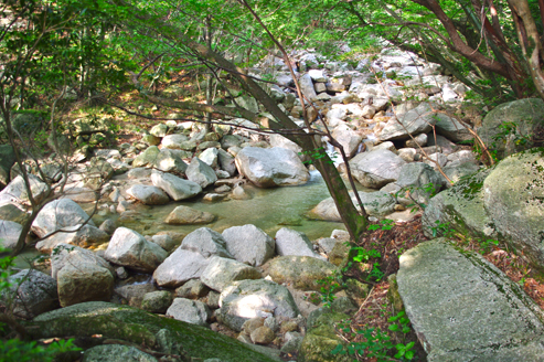 7_original_20120703110455.jpg