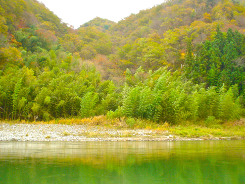 DSC00698.jpg