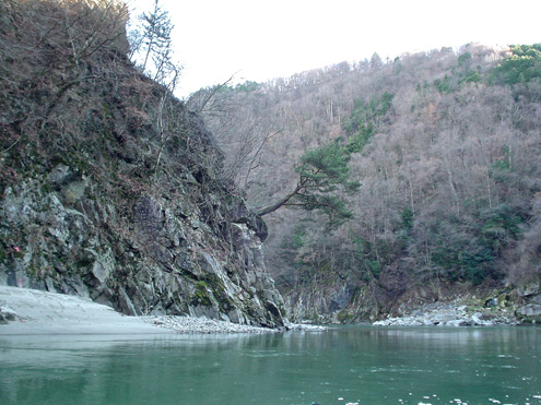 DSC00835.jpg